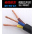 程通2芯电览线三芯1到6平方纯铜防冻三心软电缆线 2芯0.75平方1米