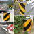 护栏端头反光膜40路边黄黑斜纹反光贴高速道路交通立柱警示反光标 5cm级黄色45米长