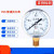 上海上仪宏沃仪表Y60普通压力表-测量气压水压液压油压螺纹14*1.5 0~0.1MPa