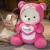 礼物熊可爱变身小熊草莓色熊公仔生日礼物送女友女孩子的走心熊玩偶 粉色草莓熊 45厘米