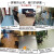 HENGTA【实心全塑】商用PVC地板革加厚耐磨塑胶地板贴家用水泥地胶 浅木纹丨每平米
