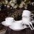 乐享  陶瓷咖啡杯碟套装 欧式咖啡具 一杯一碟一勺纯白