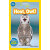 国家地理分级读物 猫头鹰 Hoot, Owl! 进口原版  入门级