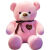 怡乐熊毛绒玩具熊公仔布娃娃泰迪熊玩偶狗熊熊猫礼物情人节女孩生日礼物 丝带熊-粉色 全长1.2米
