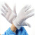 劳博士 防静电手套 双面条纹(均码-10双) 电子厂工厂无尘透气手套