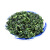 维润高山茶乌龙茶精选铁观音优质秋茶500g袋装福建传统手工茶叶浓香型