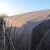 齐翼航 大棚膜树苗保温棉被白色土工布毛毡布工程水泥路面养护保湿护坡 200克灰色3*40米长
