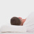 Ventry 泰国原装进口乳胶枕头 大轮廓颈椎枕 天然橡胶透气枕芯 中老年舒适睡眠