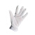 星工（XINGGONG）棉布手套 点塑白棉手套 10双