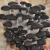 菇婆婆阳台蘑菇种植菌包平菇菌种蘑菇菌包菌棒盆栽食用菌种家庭蘑菇种植菌包阳台种蘑菇采新鲜的蘑菇 姬菇 袋装