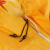 谋福 多功能连体防护服防尘服防雨服劳保雨衣工作服 粉末喷漆打磨 橙色 小M-165