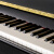 FLOFAIR123 初学入门考级 教学儿童家用练习 立式 88键 演奏黑色钢琴乐器 定金(货到付尾款)