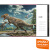 PNSO科学艺术绘本《它们：恐龙时代 》全新再版