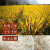 寿乡农场 2022年新米广西上林长粒香米丝苗米5公斤大米香米 广西助农扶贫产品