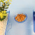诺摩（NOMOY PET）乌龟缸带晒台塑料饲养箱养龟专用缸巴西龟草龟鳄龟乌龟盆 黑色大号裸缸
