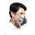 LISM防毒口罩防毒面具化工喷漆农药甲醛异味防烟电焊防气体防毒口罩装 口罩+2个过滤盒
