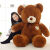 怡乐熊毛绒玩具熊公仔布娃娃泰迪熊玩偶狗熊熊猫礼物情人节女孩生日礼物 丝带熊-粉色 全长1.2米