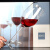 德国进口肖特圣维莎SCHOTT ZWIESEL红酒杯水晶玻璃高脚杯美腿波尔多葡萄酒杯 单支(633毫升)112495