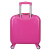 新仕高（SUNCISCO）18英寸儿童拉杆箱 小学生行李箱男女登机箱学生万向轮旅行箱超轻低音密码箱CF0036B粉色