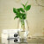 达之礼（DAZHILI）玻璃花瓶水培花瓶鹅蛋椭圆玻璃花瓶富贵竹绿萝花瓶 透明 20cm