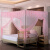 圣安贝 蚊帐2.0宽大床合拼全不锈钢加大床蚊帐 粉红色 总外宽260*总外长200cm