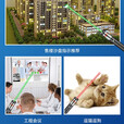 强光远射大功率激光笔灯售楼逗猫教鞭户外镭射手电筒指星笔 红色紅光+满天星