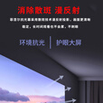 LEEMEI菲涅尔抗光硬屏超短焦激光电视抗光屏幕软幕 中长焦投影幕布 适配极米当贝投影仪家用壁挂画框幕布 超短焦菲涅尔硬屏 100英寸【包安装】