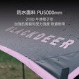 黑鹿（BLACKDEER）云荫黑胶涂银双面天幕露营野营野炊便携防暴雨防风防晒 遮阳棚 云荫黑胶涂银天幕