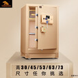 虎王家用，办公防盗保险箱啸虎XH-1电子密码箱 BGX-5/D1-53XH-1灰金色 