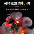 许棋杏无烟煤球 烧烤炭兰炭焦碳无烟煤易燃耐烧非有烟果木活性家用10斤 98斤10箱款