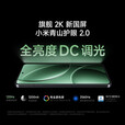 小米 Redmi 红米K80 Pro 骁龙8至尊版 2K新国屏 全焦段影像 120W超级快充 5G 红米手机 玄夜黑 16GB+1TB