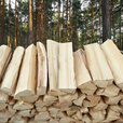 禾火篝火木材 松木 户外引燃烧火木柴  壁炉燃料 柴火木头 取暖耐烧柴 精品天然松木柴 20斤装