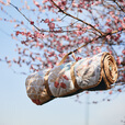 挪客Naturehike春游垫子防潮垫户外露营垫野餐地垫防水公园野餐布 落樱气息 180X200【推荐5-6人】