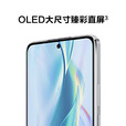 华为（HUAWEI）nova 10 SE【全新未拆封未激活+全国联保】一亿像素质感人像 4500mAh长续航 轻薄机身 5G手机 10se-曜金黑 8GB+256GB