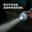 挪客星穹户外露营灯五档氛围灯效长续航户外照明灯手提灯营地灯手电灯 陨石棕【低亮25小时超长续航 】