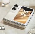 OPPO Find N2 Flip展机小折叠屏手机长续航高性能赠送运费险详询客服 雅黑 16GB+512GB_
