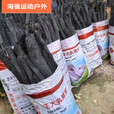 翰鸥斐青冈木炭青钢炭青杠树碳烧烤用品烧烤炭木炭金刚木炭取暖户 1斤装青冈炭