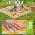 探险者野餐垫沙滩垫爬行垫可机洗垫子户外帐篷垫子加厚防潮垫午休垫 小飞叶野餐垫2*2m+5L保温箱