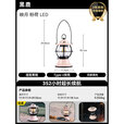 黑鹿（BLACKDEER）映月 LED营地灯 复古简约LED帐篷灯 精致露营户外便携手提照明灯 映月 粉荷LED营地灯