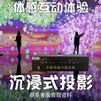 裸眼3D全息投影硬件融合展厅展馆隧道美容院餐厅KTV投影融合软件 投影融合器