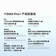 vivo X300 Pro 16GB+512GB 天玑9500 店内选购】 24期 免息 2025新品Y300 Pro+ 7300mAh超薄蓝海电池   微粉12GB+512GB 官方标配