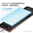 vivo Y200+  6000mAh大电池 120Hz金刚护眼屏 磐石缓震结构 拍照 5G全网通 vivo手机y200 + 天空之城 12GB+256GB
