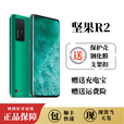 坚果新品坚果  锤子 坚果 R2 Pro3双5G手机锤子骁龙865手机全屏 坚果R2光阴版白色【全新未拆封】 16+512GB