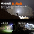 FENIX菲尼克斯LR35R Pro强光手电筒10000流明聚泛光户外搜索照酒手电 LR35R PRO升级款标配