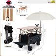 柏潮购物摆摊小推车夜市地摊折叠摆摊桌一秒收摊露营车商用烤肠机鲜花 黑色 便携5寸-拖斗