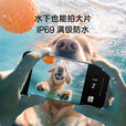 OPPOReno13 Pro 超美小直屏 AI高清实况照片 5G展机 颜值时尚拍照手机 蝶蝶紫 12GB+256GB 单机+第三方充电器+店保一年