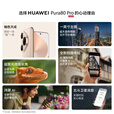 HUAWEI Pura 80 Pro 一英寸主摄 个性色卡 AI 辅助构图 华为鸿蒙智能手机 釉金 12GB+1T 官方标配