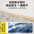 清系 全自动露营帐篷户外防晒防雨双人双层公园野外帐篷免搭建2-3人 星梦白【2~3人】防潮垫