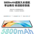 荣耀荣耀x50骁龙6处理器5g曲屏幕指纹解锁5800毫安手机 荣耀X50黑色 16GB+512GB