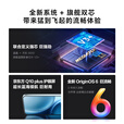 vivo X300 Pro 蔡司2亿APO超级长焦 蓝图自研影像双芯 5年持久流畅OriginOS 6 直屏拍照手机 新品 国补 纯粹黑 16GB+1TB 银色增距镜+蓝色影像手柄套装
